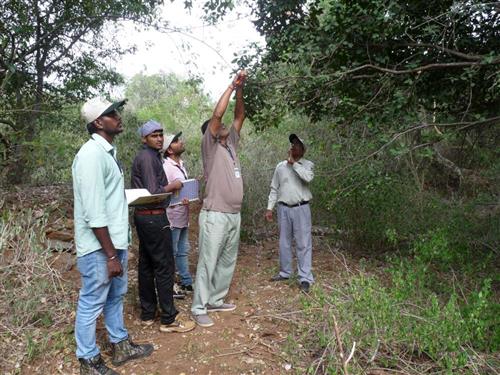 GSDP Students while collecting specimens